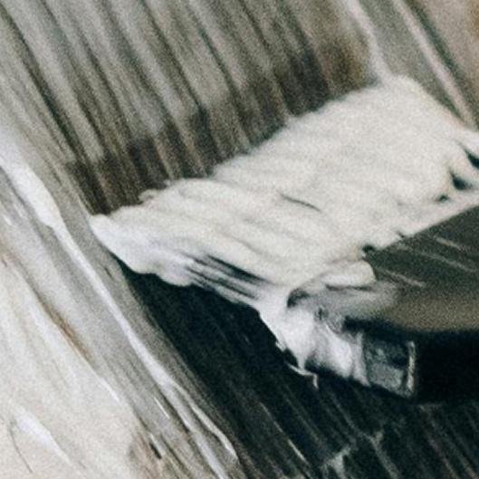 Black Friday Package 